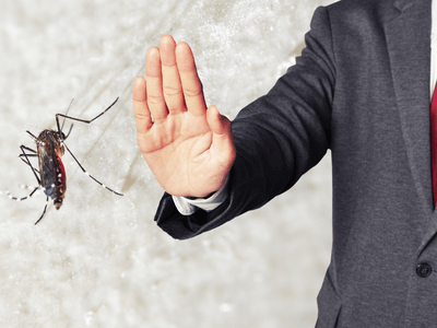 About NJ Pest Control Exterminator - pest control services experts in Newark